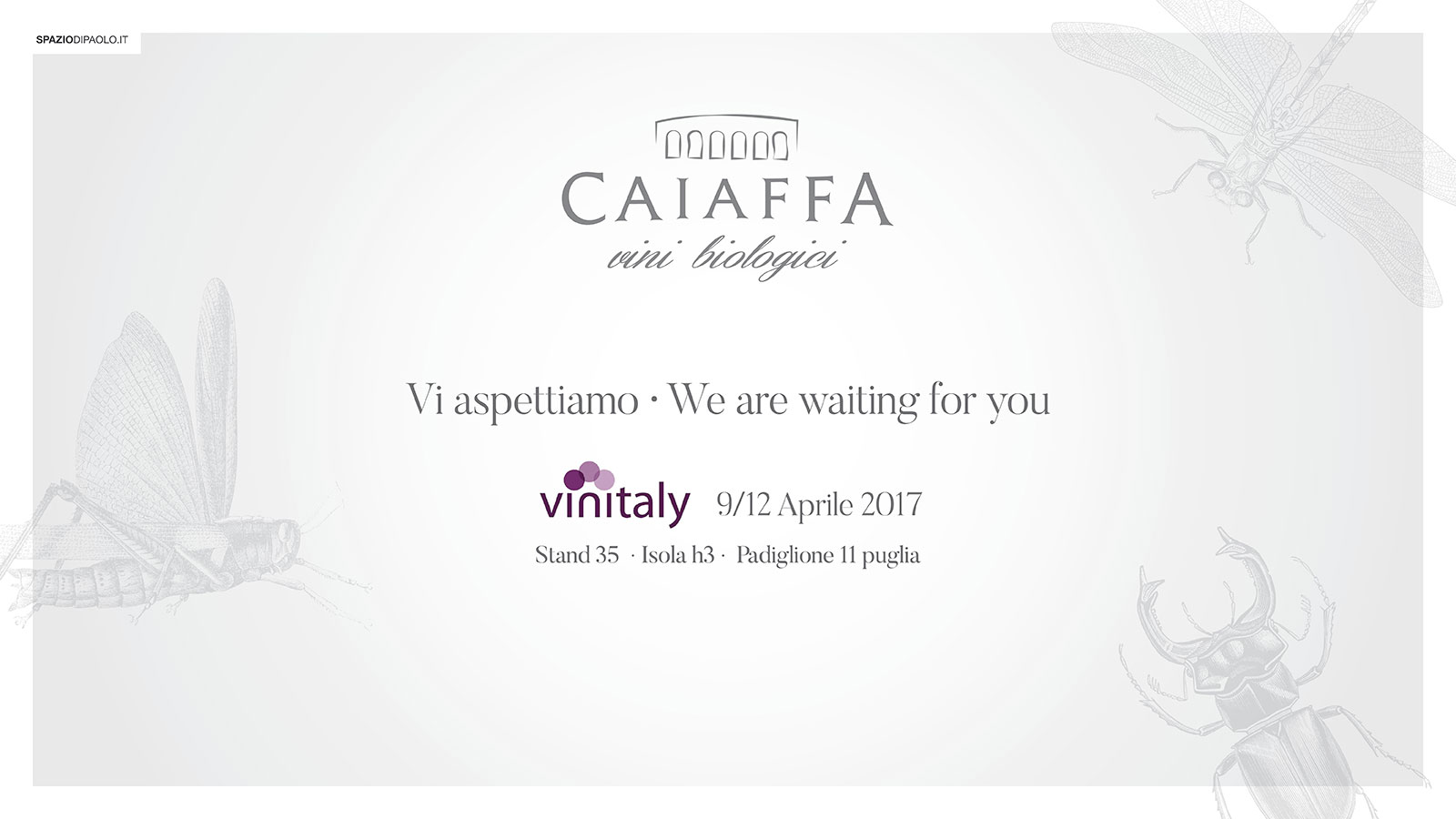 Caiaffa Wines @ Vinitaly – 9/12 April 2016